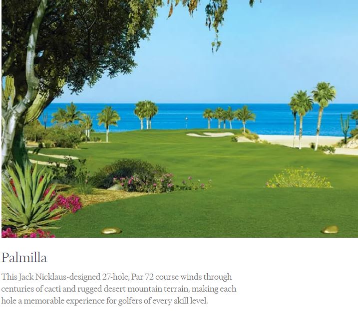 Palmilla
